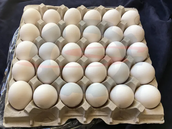 Loaded egg tray with eggs 01