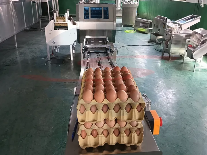 Pulp molding egg tray automatic loading machine
