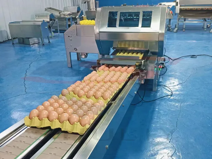 Rotary automatic egg tray loading machine