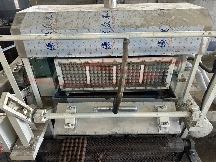 Egg tray machine under testing